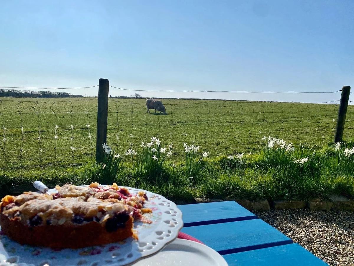 A Farm Stay in County Wexford, Ireland – Feathered Acres Farm, Belgrade MN
