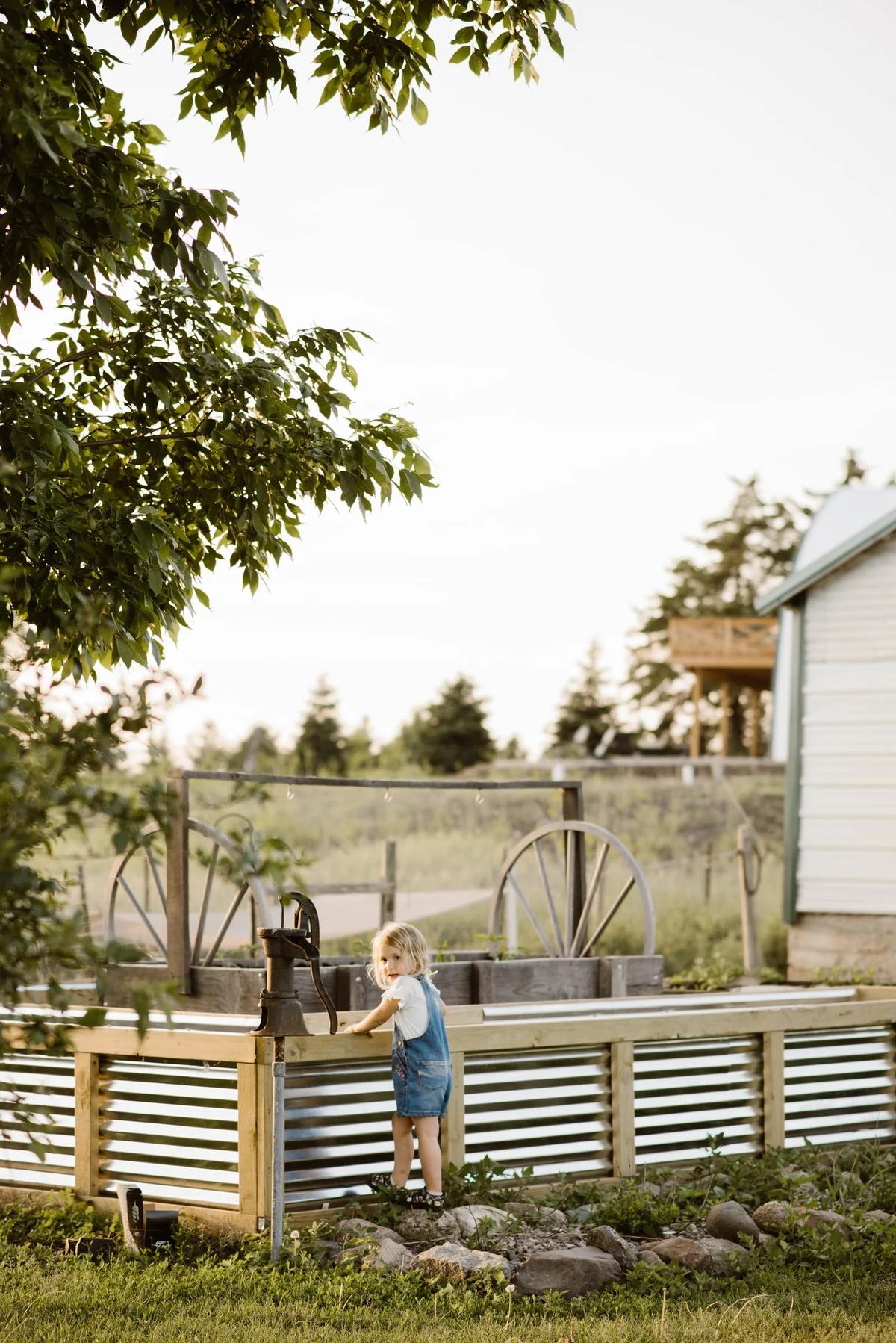Gallery – Feathered Acres Farm, Belgrade MN