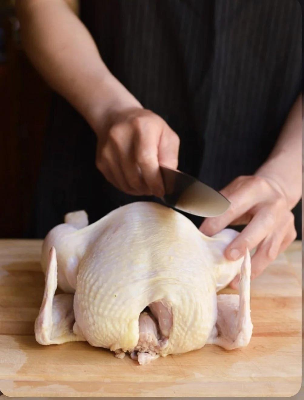 Farm Stay Learning Experiences: Classes/ Tours/ Camps – Feathered Acres Farm, Belgrade MN