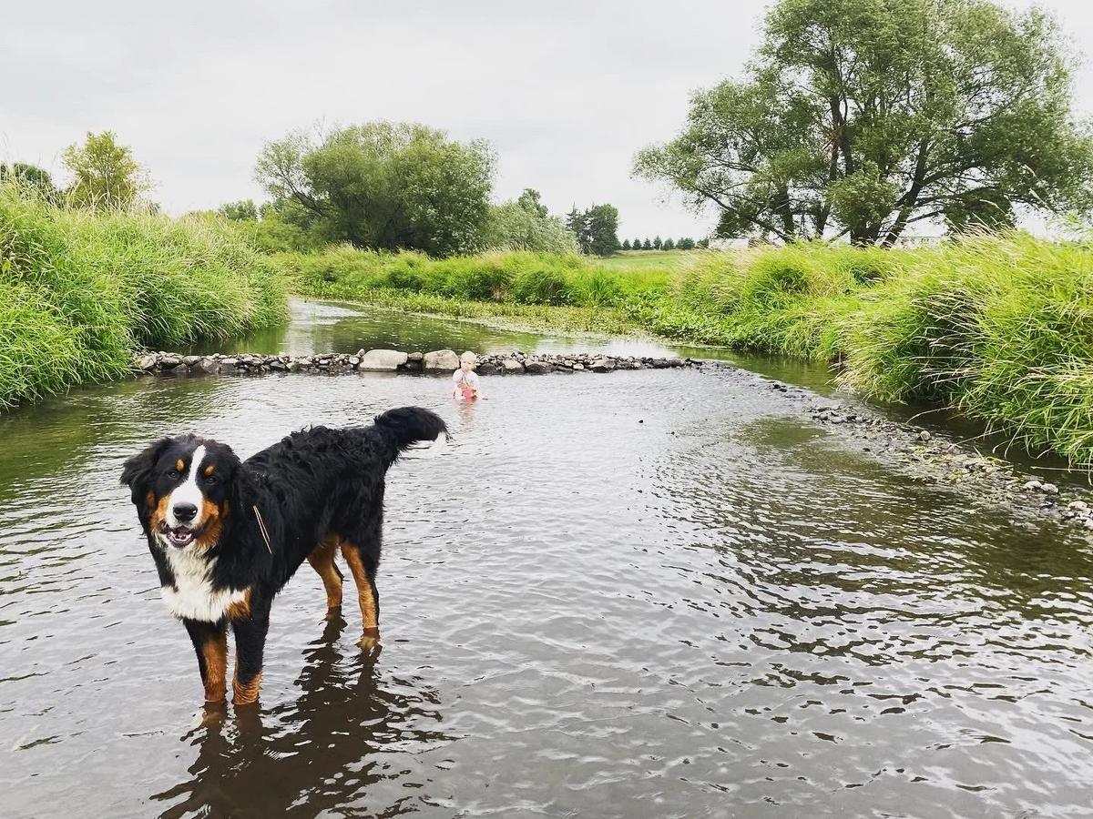 Gallery – Feathered Acres Farm, Belgrade MN
