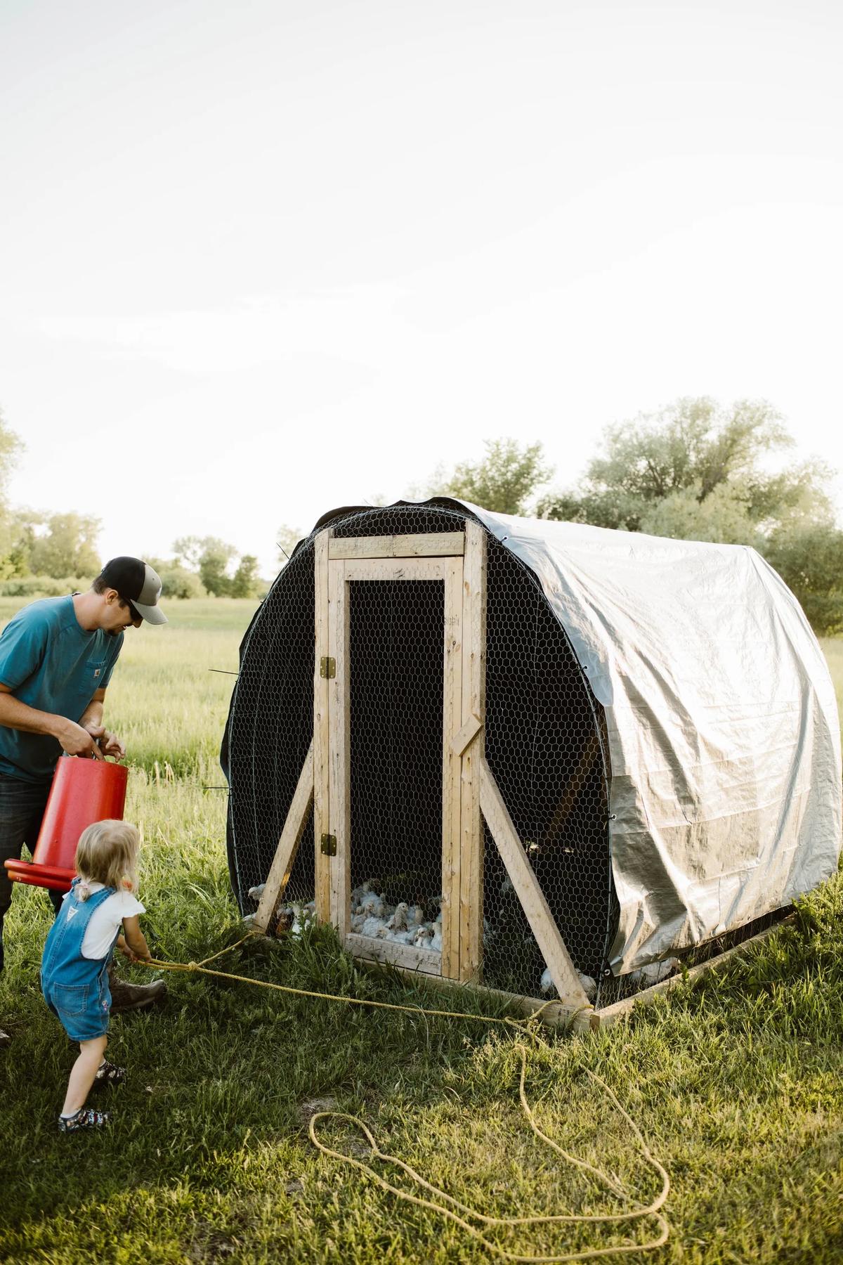 Gallery – Feathered Acres Farm, Belgrade MN