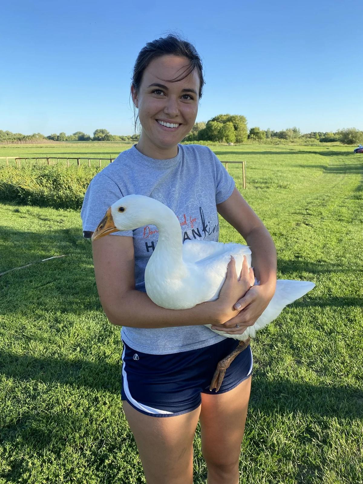 Gallery – Feathered Acres Farm, Belgrade MN