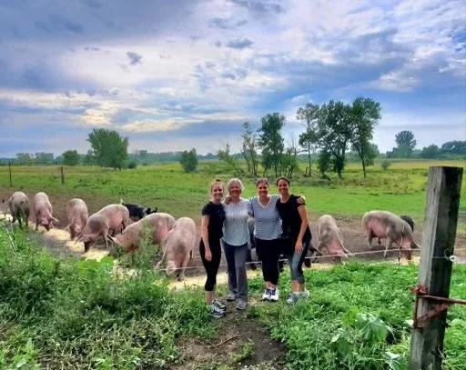 Gallery – Feathered Acres Farm, Belgrade MN
