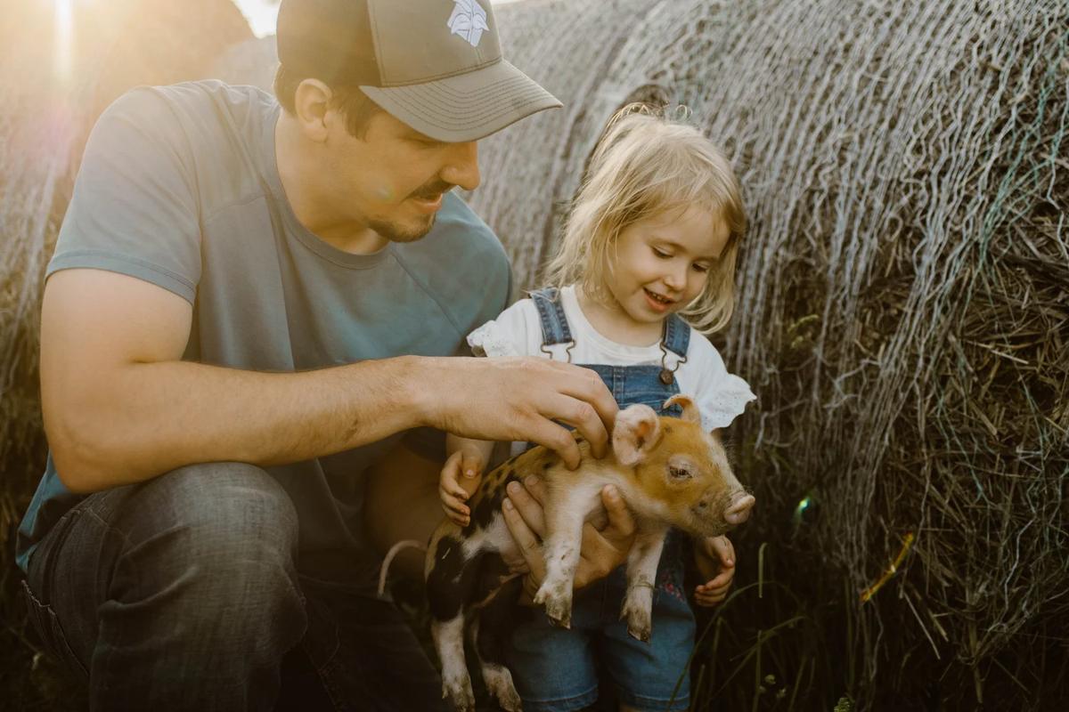 Gallery – Feathered Acres Farm, Belgrade MN