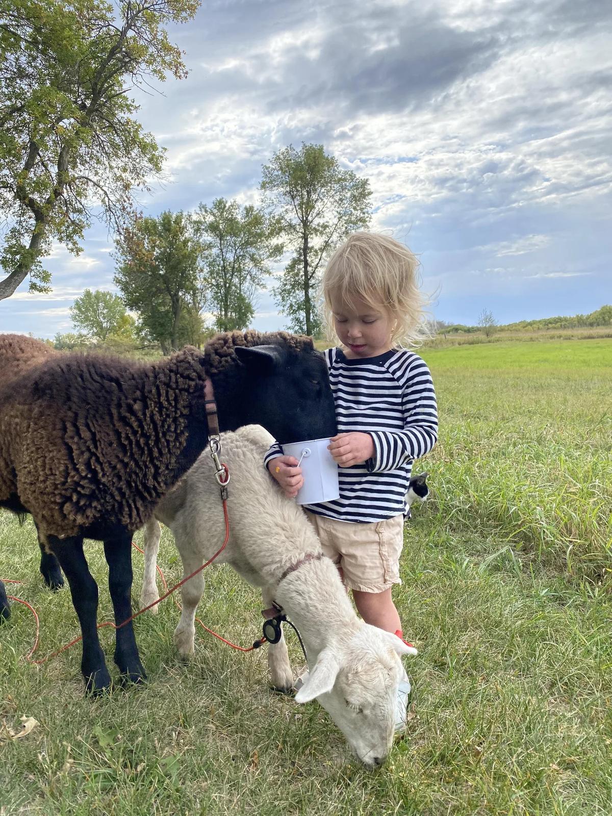 Gallery – Feathered Acres Farm, Belgrade MN