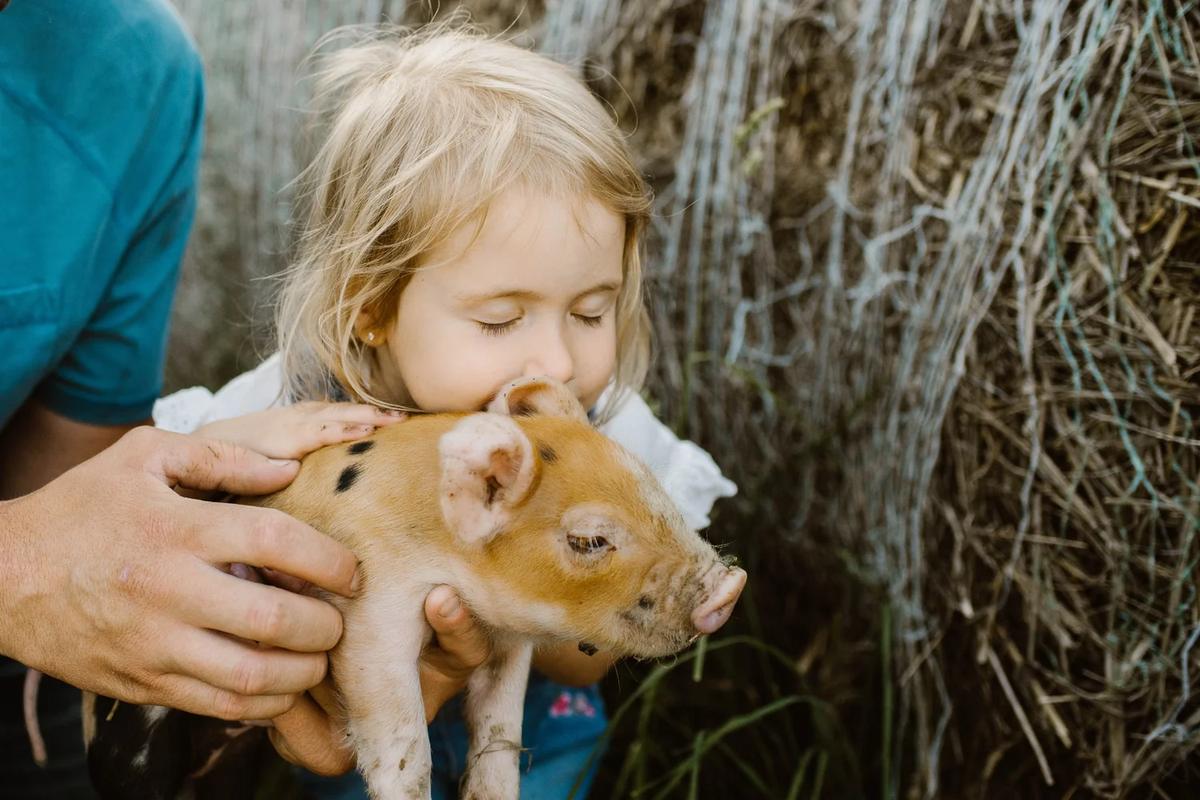 Gallery – Feathered Acres Farm, Belgrade MN