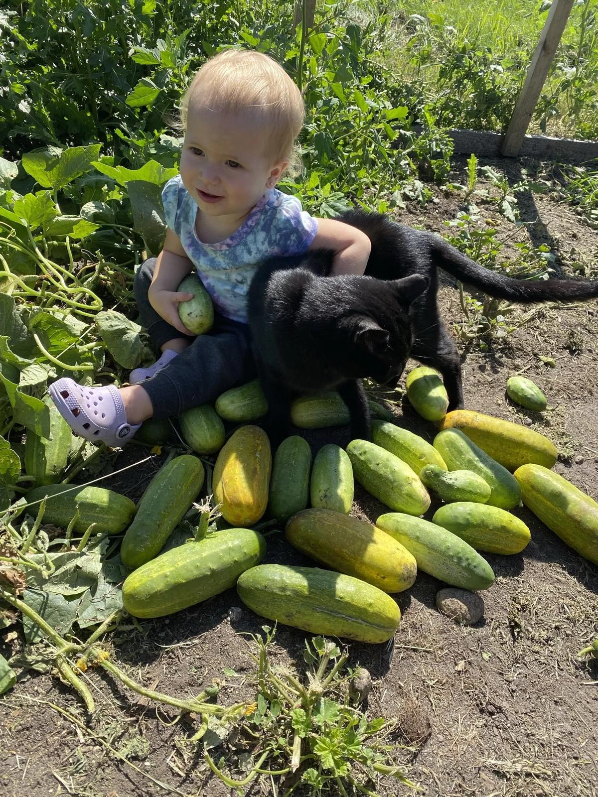 Gallery – Feathered Acres Farm, Belgrade MN