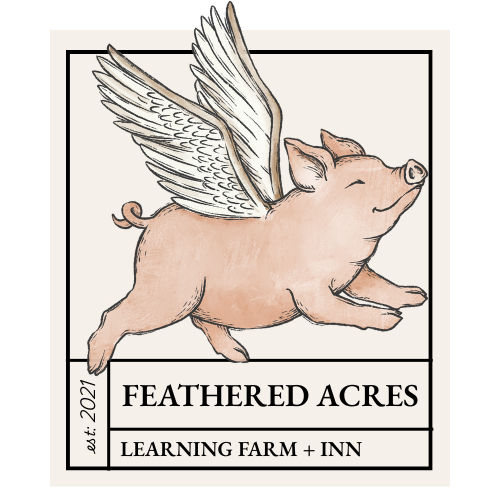 Farm Stay Experience – Feathered Acres Farm, Belgrade MN
