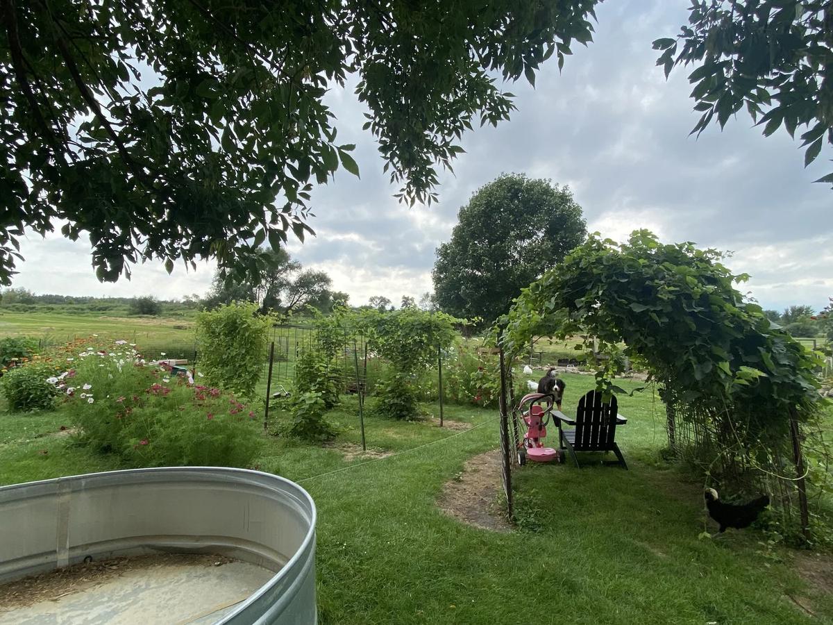 Gallery – Feathered Acres Farm, Belgrade MN