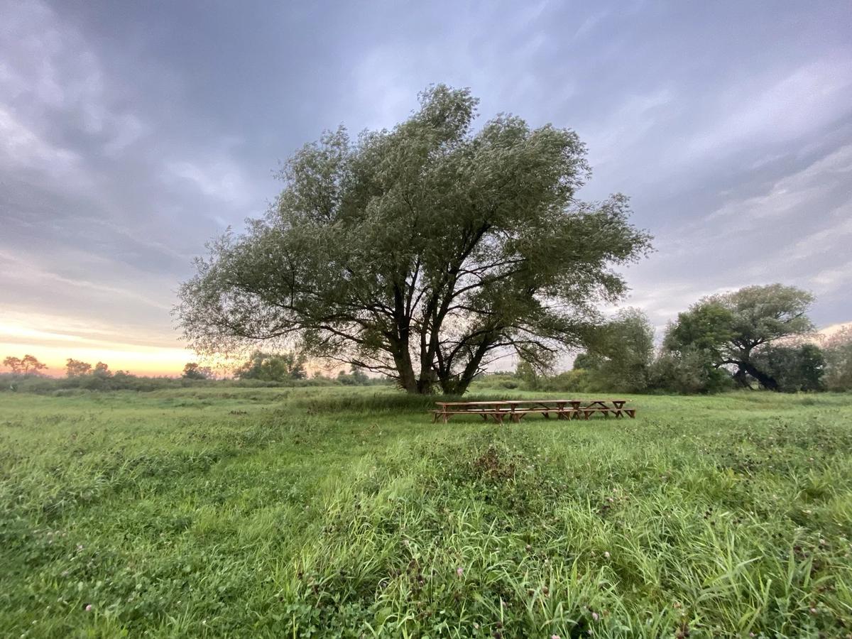 Gallery – Feathered Acres Farm, Belgrade MN