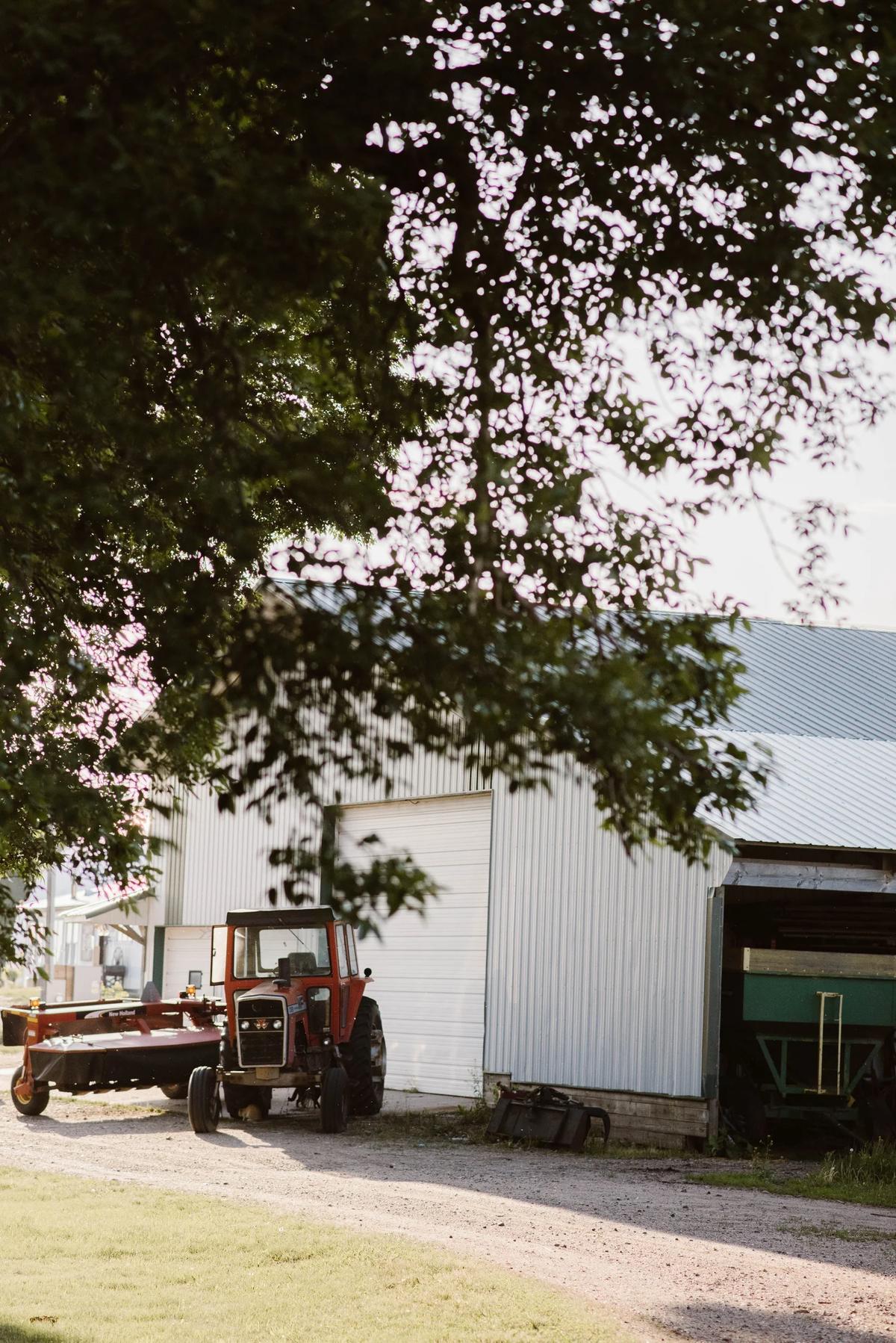 Gallery – Feathered Acres Farm, Belgrade MN