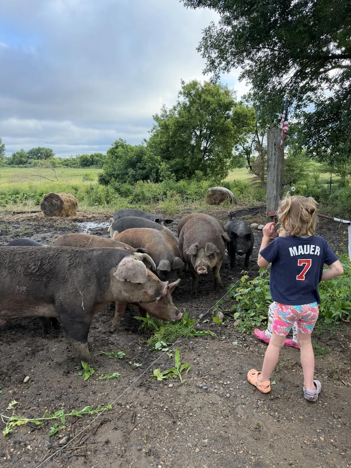 Farm Stay Learning Experiences: Classes/ Tours/ Camps – Feathered Acres Farm, Belgrade MN