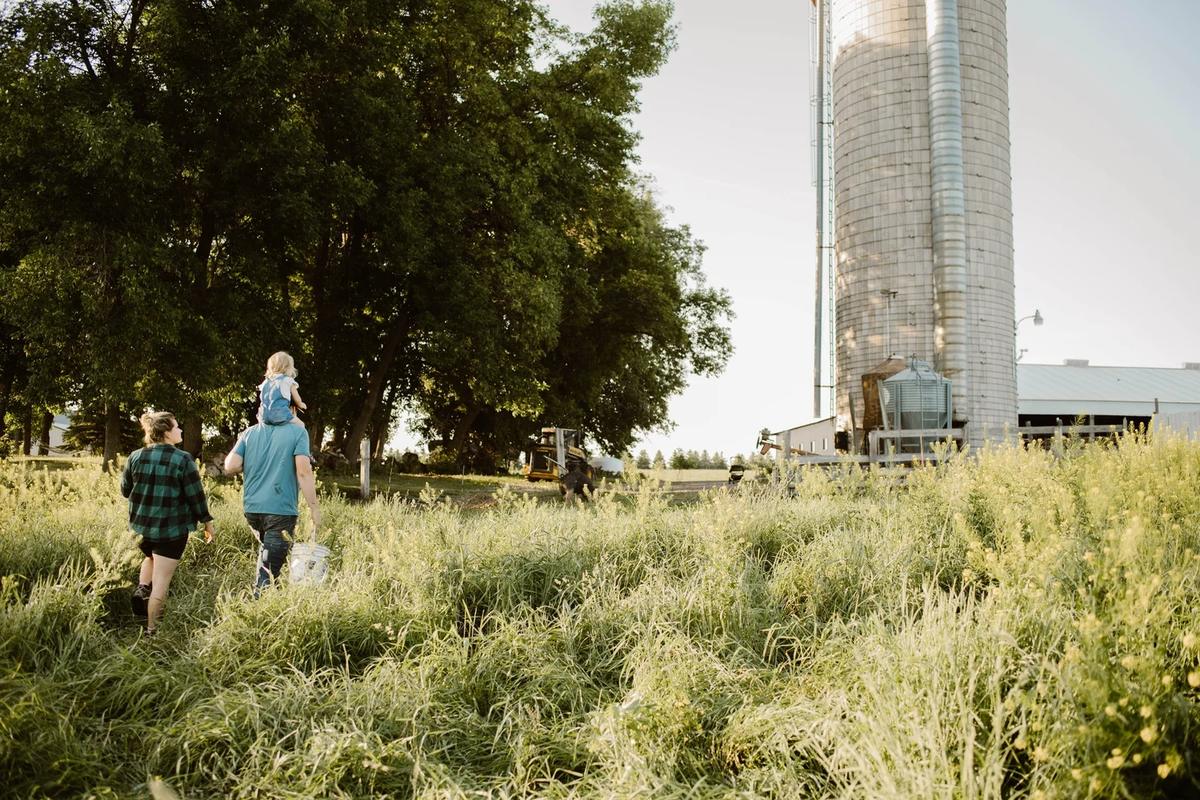 Gallery – Feathered Acres Farm, Belgrade MN