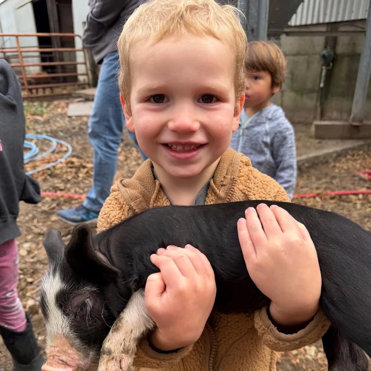 Feathered Acres Mini Farmer Camp (3 or 1 day camps) Ages 7+